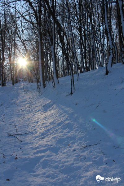 2017.01.21: Abaliget-Pécs túra