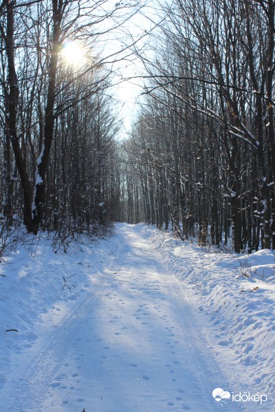 2017.01.21: Abaliget-Pécs túra