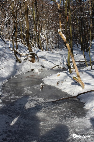 2017.01.21: Abaliget-Pécs túra