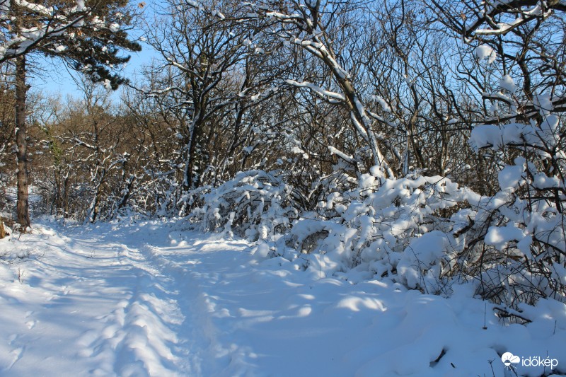2017.01.21: Abaliget-Pécs túra