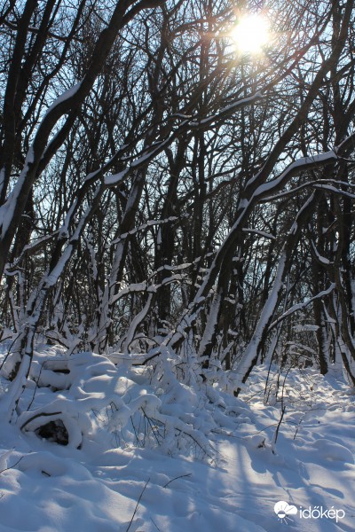 2017.01.21: Abaliget-Pécs túra