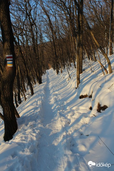 2017.01.21: Abaliget-Pécs túra
