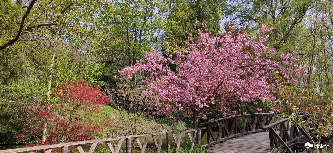Természet