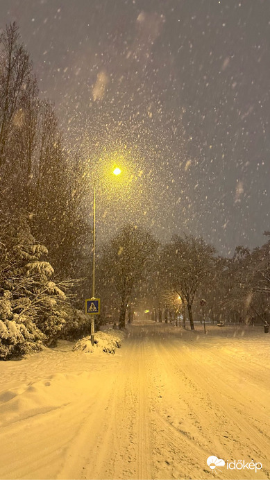 Észlelési fényképek