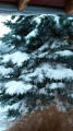 Dobronhegy