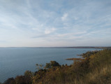 Balatonaliga