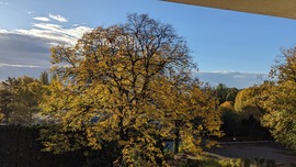 Reggel a Balatonnál