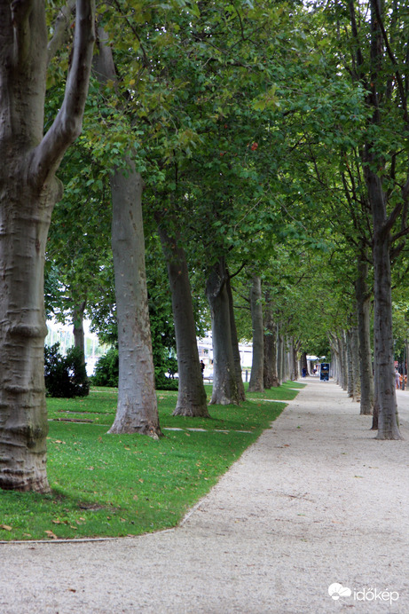 Tagore sétány 2023. augusztus 6. reggelén