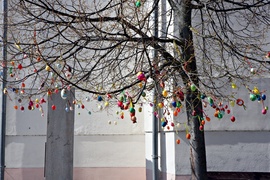 Arács