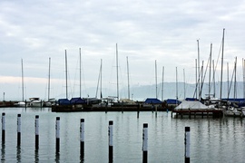 Balaton