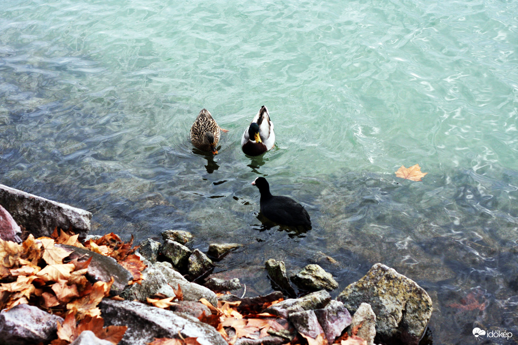 A decemberi vízben, Füreden