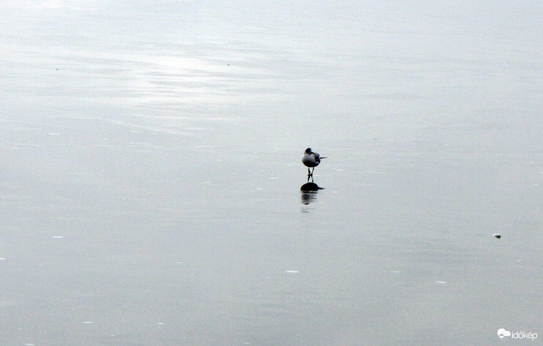 Gyönyörködhetek magamban