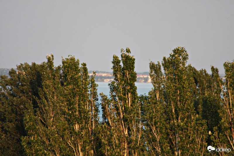 Balaton