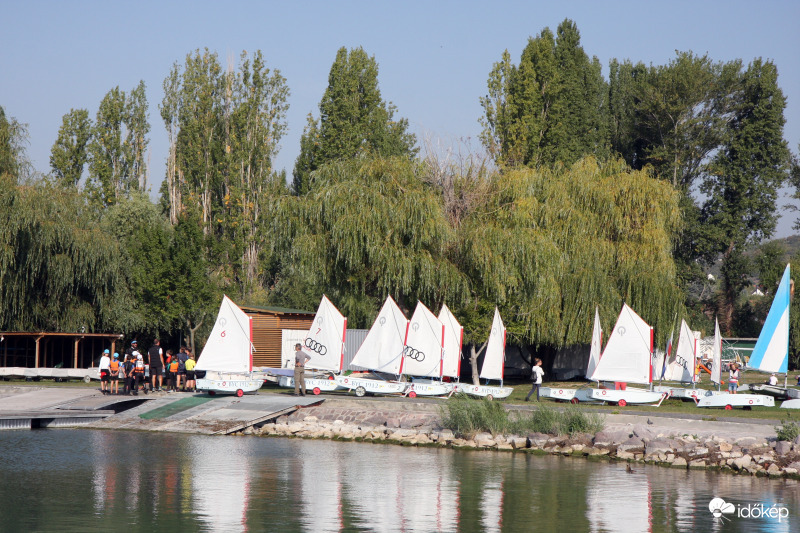 Köztük lehet a jövő Berecz Zsombora