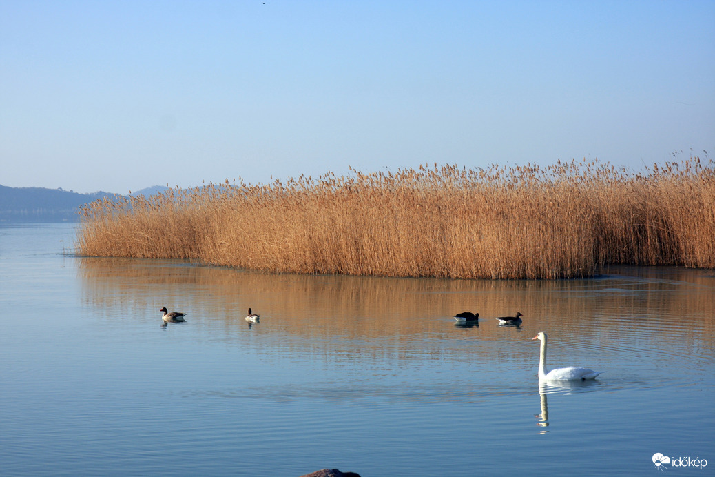 Füred, Kisfaludy strand