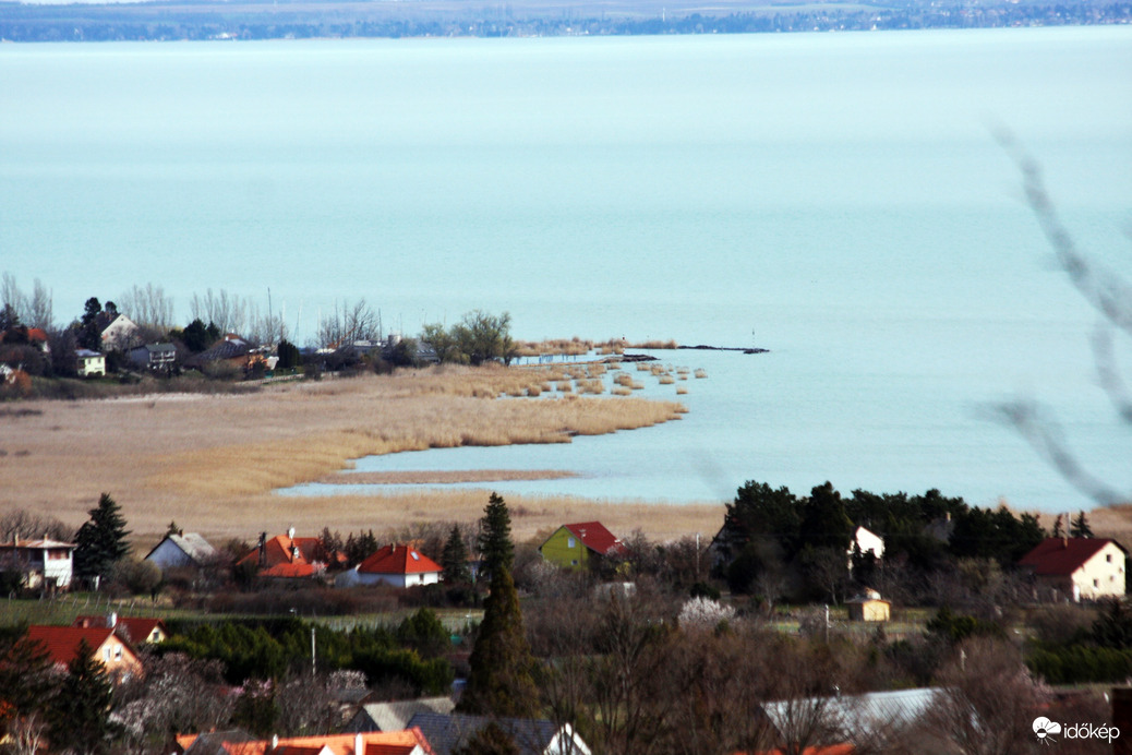 Nádas a Kerekedi öbölben