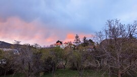 Arácsi ☀️ lemente