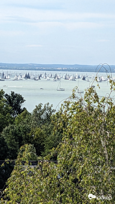 Kékszalag 