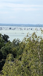 Kékszalag 