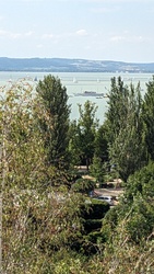 kronikas fotója