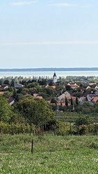 Csopak 