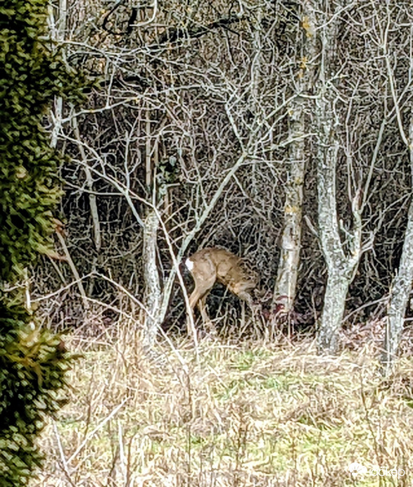 Meglátogatott minket