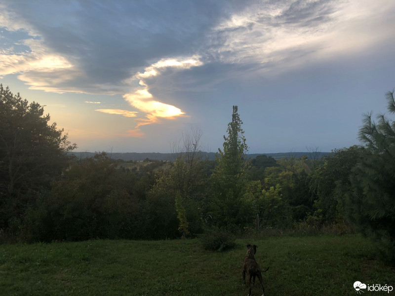 Észlelési fényképek