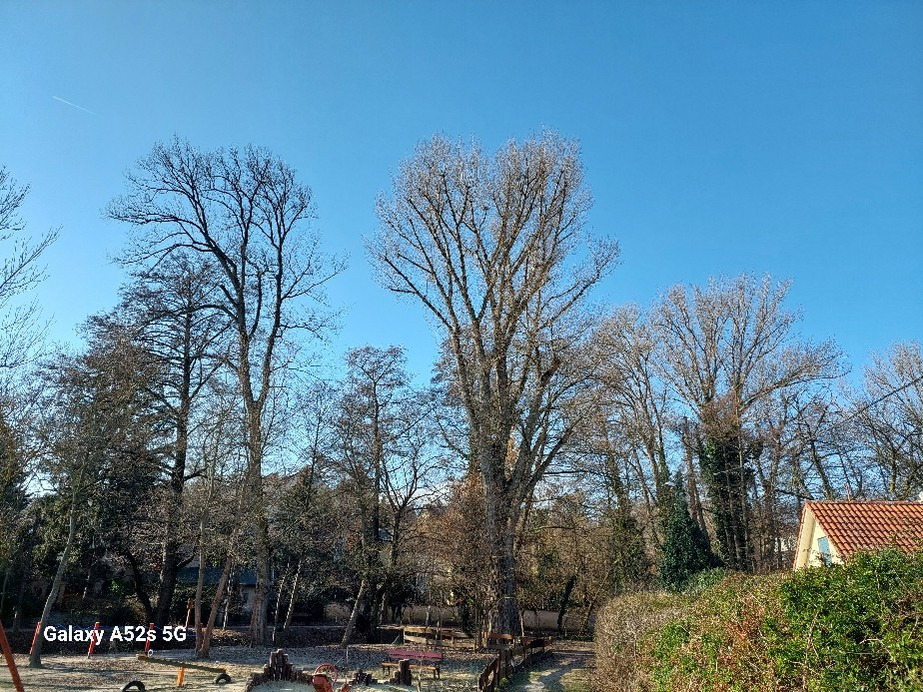 Szentendre