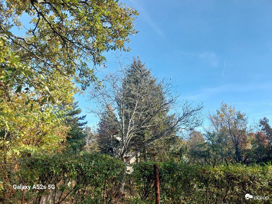 Észlelési fényképek