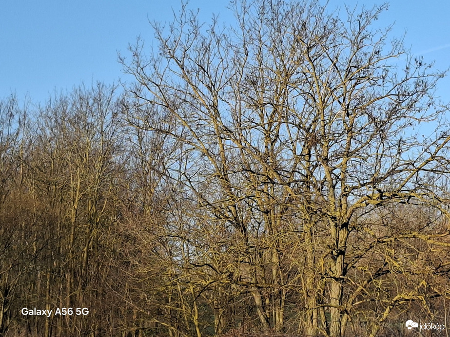 Észlelési fényképek