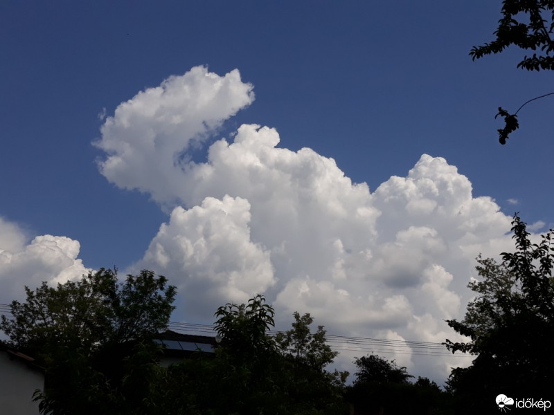 Észlelési fényképek