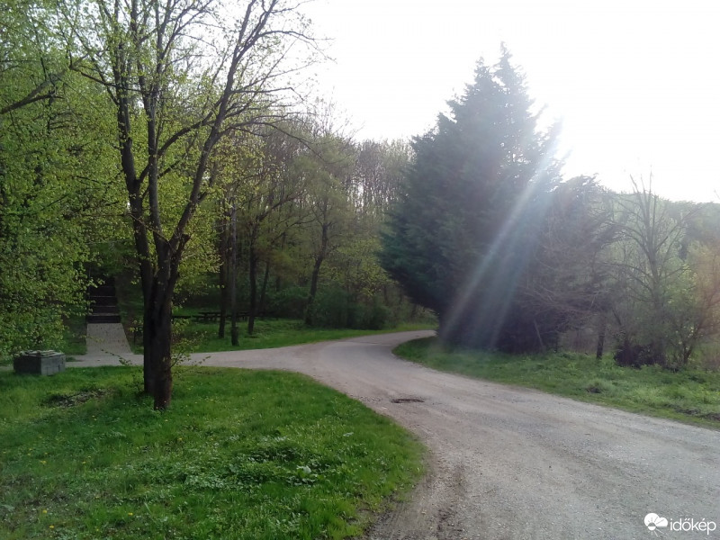 Észlelési fényképek