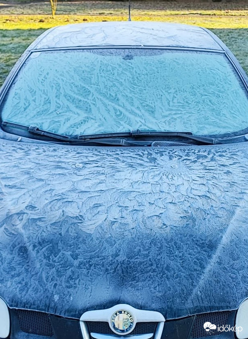 Jégvirág a tél varázsa