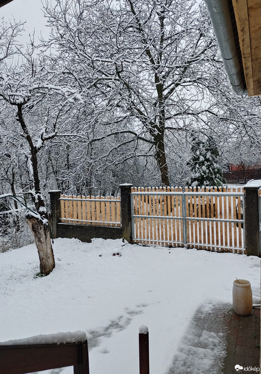 Észlelési fényképek