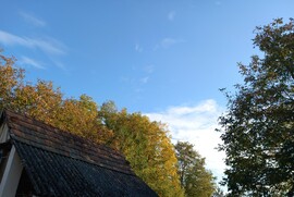 Homorúd