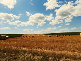 "Gomolyfelhők a bálák fölött"
