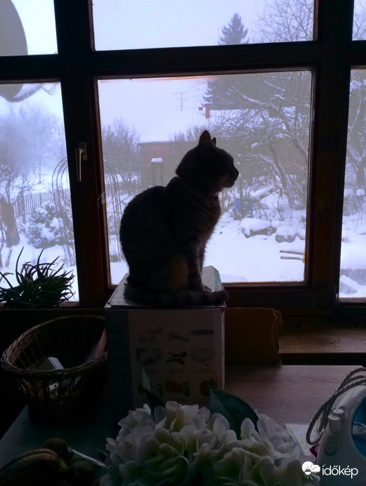 "Szép a tél...de azért jobb itt bent a meleg szobában..."