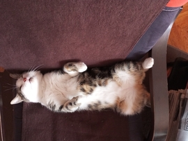 Azért csak jobb ilyen időben a meleg szobában...