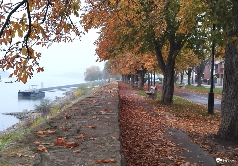 Az őszi Duna - part.