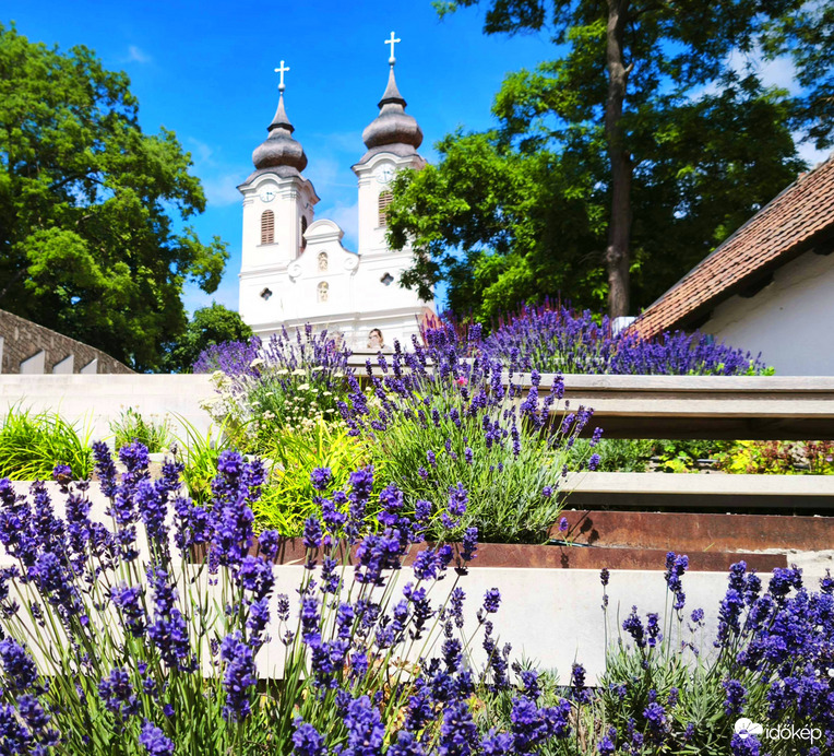 Természet