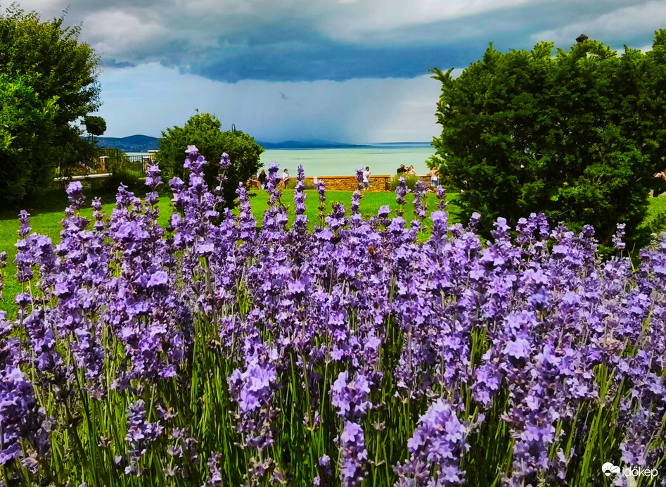 Tihany