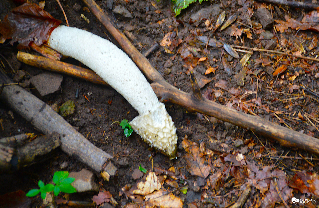Tényleg hideg van. :) Úton a Csóványos felé 9.27-én.