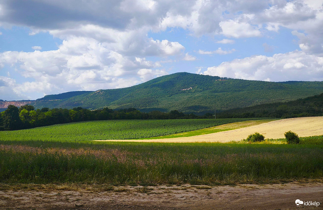 Vác