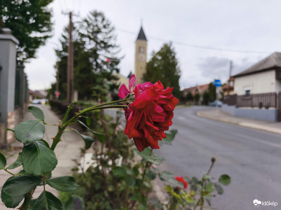 Vác