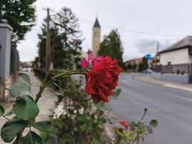 Vác