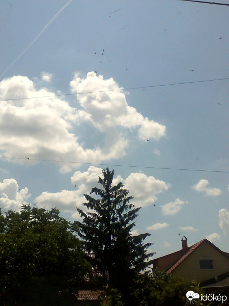 Észlelési fényképek