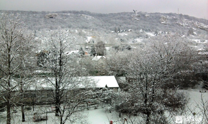 Tatabánya Turul Madár
