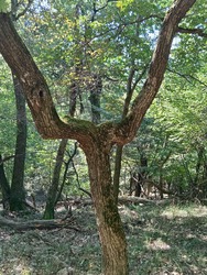 lakatildi fotója