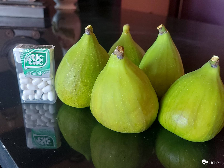 Órias fügék a piacról,elvileg Neszmélyen termett ,isteni fini ,koran érik ugy nez ki ezt kell termelni ezen a félsivatagi aszályos övön ..