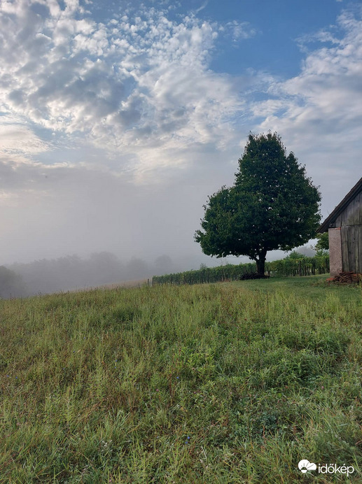 hajnali köd Zalában aug 21-én a hatalmas vihar után